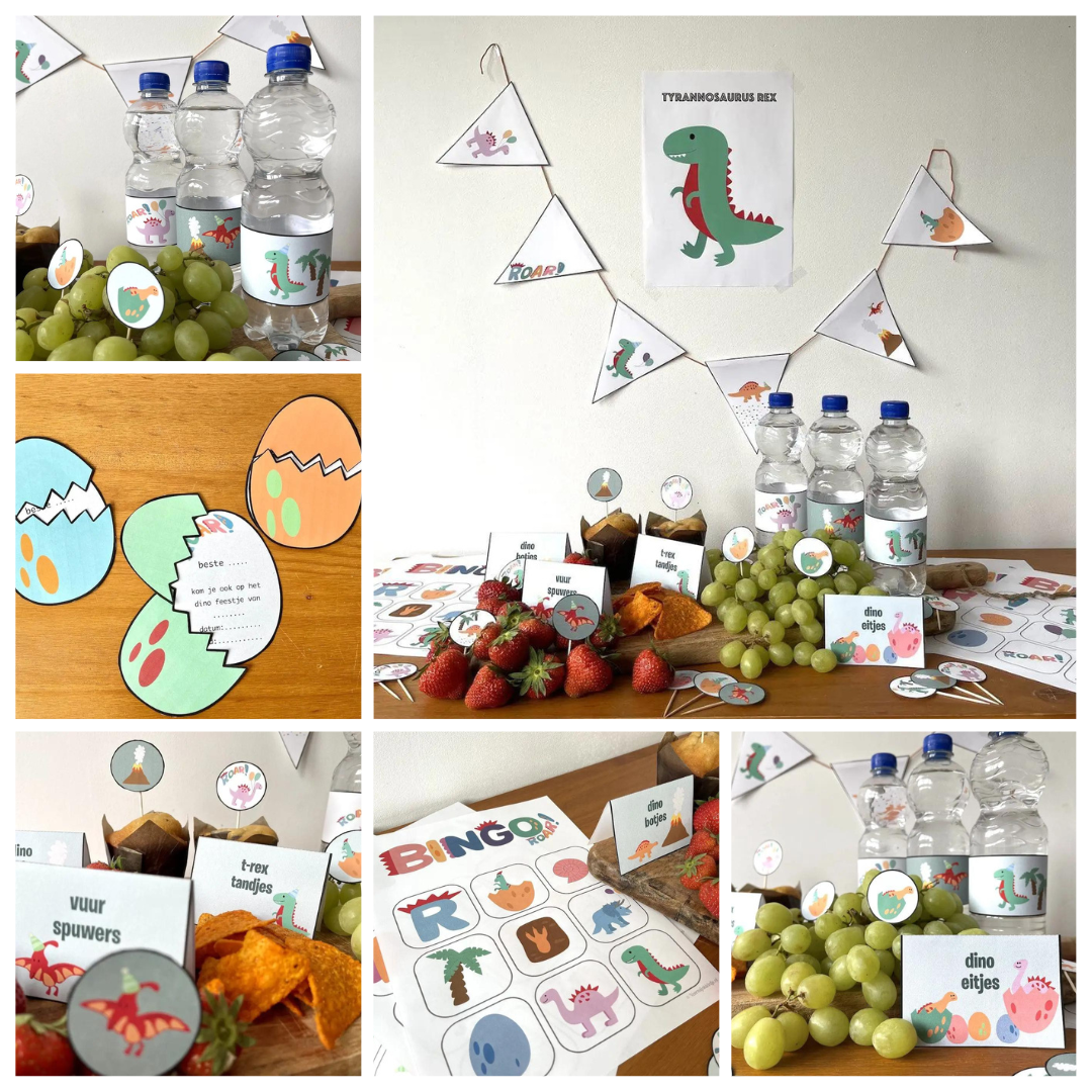Dino kinderfeestje