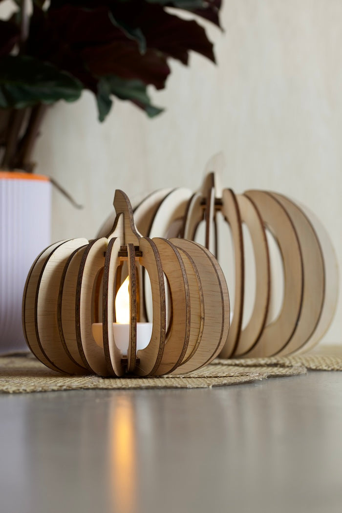 Houten pompoen bouwpakket
